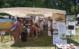 Natur’en fête Miramas(c)_C.CRIFO(3)